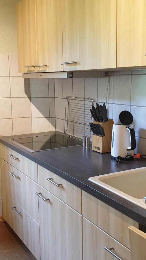 Ferienwohnung An Der Begerburg Дрезден Экстерьер фото